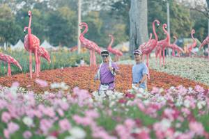 BIB: 
                            <button type="button" onclick="openModal(27344014)" class="btn btn-primary btn-sm float-right btn-popup" data-toggle="modal" data-target=".modal-high-quality">
                        <i class="fas fa-shopping-cart"></i> Add to Cart
                    </button>
                                            <button type="button" onclick="isThisMe(27344014, true)" class="btn btn-success btn-sm float-right btn-popup btn-isme hidden" data-toggle="tooltip" data-placement="bottom" title="นี่คือรูปของคุณใช่ไหม คลิกที่นี่เพื่อเอาเข้าอัลบั้ม">
                        <i class="fas fa-plus"></i> Add to album
                    </button>
                    <button type="button" onclick="isThisMe(27344014, false)" class="btn btn-warning btn-sm float-right btn-popup btn-isnotme hidden">
                        <i class="fas fa-ban"></i> Remove from album
                    </button>